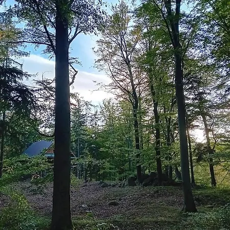 Sekret Bukowego Gaju 公寓 *
